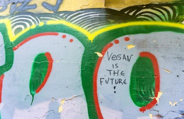 Vegan Fashion Alternatives: Beyond Leather and Wool